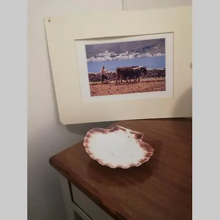 Amorgos_jewel Holiday home *